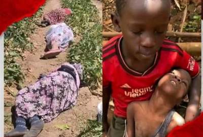 سازمان ملل خواستار تحقیقات مستقل درباره جنایات در «فاشر» شد