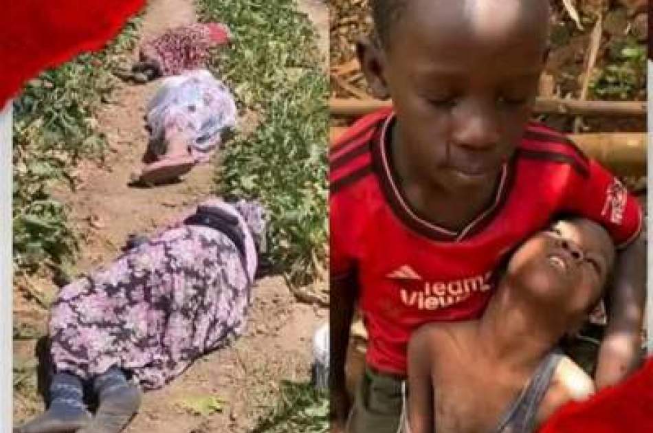 UN calls for independent investigation into crimes in Fasher