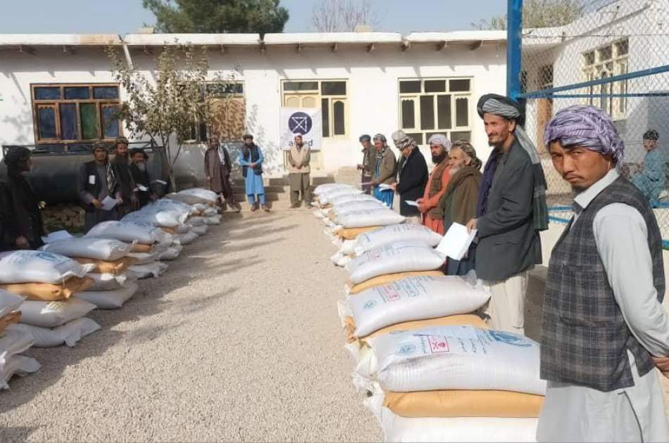 توزیع گندم بذری و کود کیمیاوی برای بیش از 300 دهقان در ولسوالی زاری ولایت بلخ