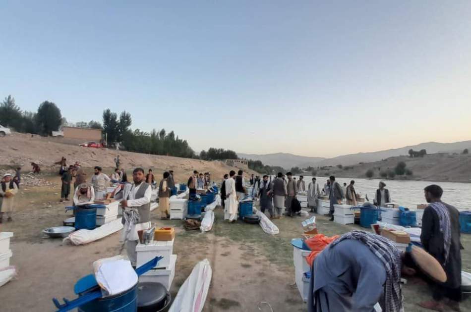 تطبیق پروژه آموزش مرغداری، زنبورداری و کاشت سبزیجات برای ۱۵۰ خانواده در بدخشان