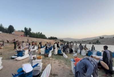 تطبیق پروژه آموزش مرغداری، زنبورداری و کاشت سبزیجات برای ۱۵۰ خانواده در بدخشان