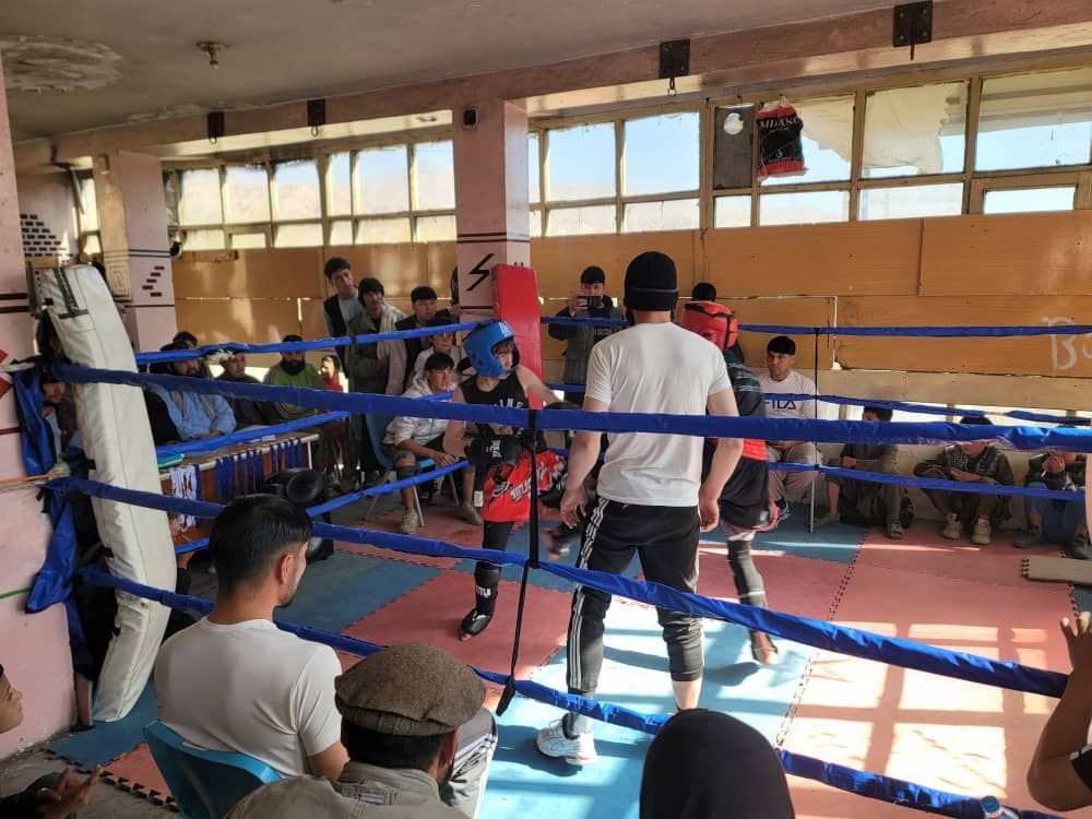 مسابقه کیک‌بوکسینگ جام خزانی با حضور ۵۰ ورزشکار در بامیان برگزار شد