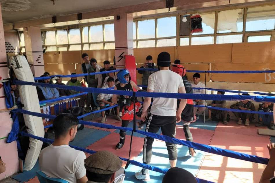 په بامیان کې د کیک باکسینګ سیالۍ "د مني جام" د ۵۰ لوبغاړو په ګډون ترسره شوه