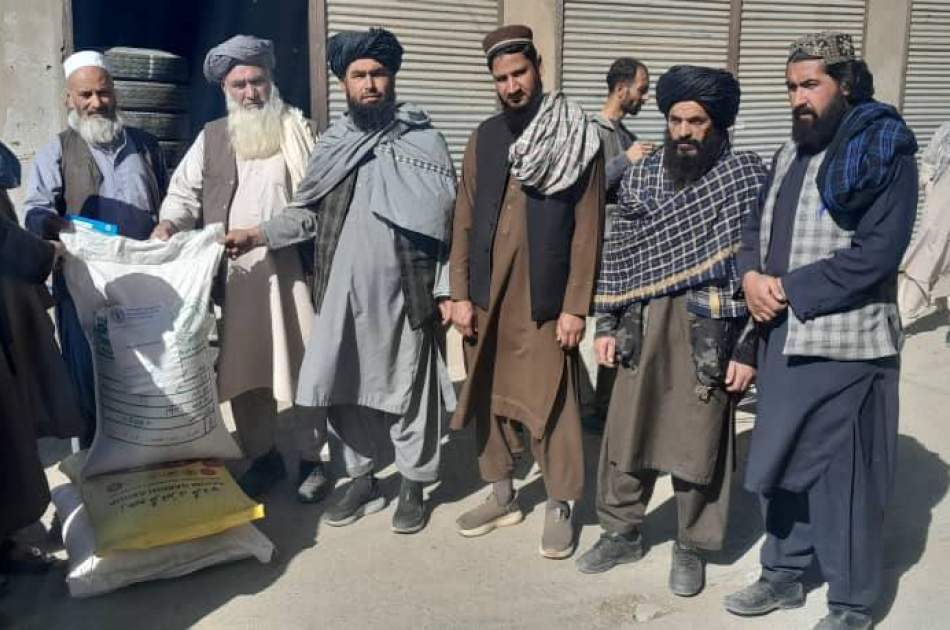 د کرنې وزارت په پروان کې ۵۰۰ بزګرانو ته اصلاح شوي تخمونه او کیمیاوي سرې وویشلې