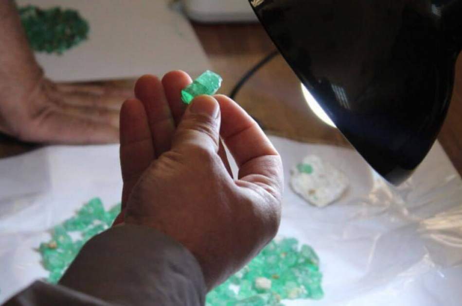 د پنجشیر نږدې ۴۰۰۰ قیراط زمرد په ۶ میلیونه افغانیو وپلورل شو