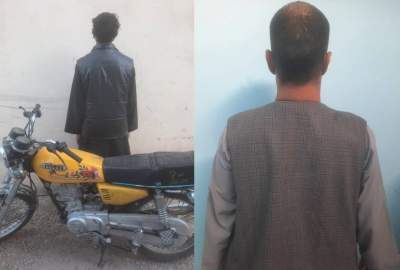 بازداشت چهار تن به اتهام قتل و سرقت در ولایت هرات