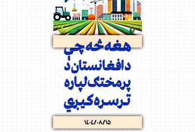 انفوګرافیک/ هغه څه چې د افغانستان د ودانولو لپاره ترسره کیږي!  