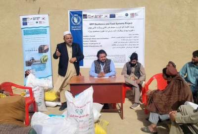 د بلخ ولایت په دریو ولسوالیو کې ۳۳۰ بزګرانو ته د غنمو تخمونه او کیمیاوي سرې وویشل شوې