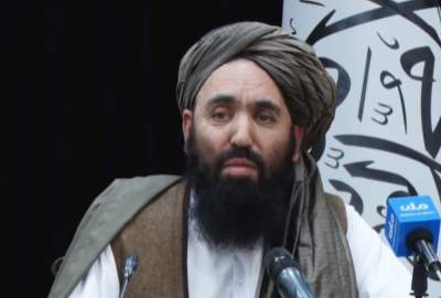 ملا نجیب: هیأت پاکستانی خواستار صدور فتوای ممنوعیت جنگ در این کشور بود