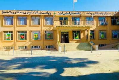توزیع کمک نقدی برای ۸۳ زن نیازمند در ولسوالی چمتال ولایت بلخ