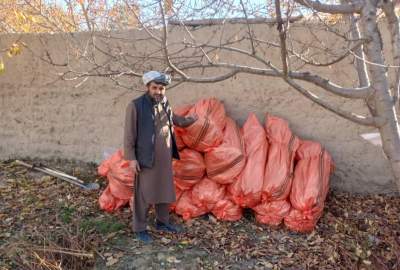 غرس ۳۰ هزار اصله نهال مثمر در شش ولسوالی بدخشان؛ بررسی و آمادگی‌های عملی آغاز شد