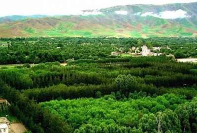 آغاز احداث ۱۰۶ باغ آلوگیلاس در ولسوالی کشم بدخشان