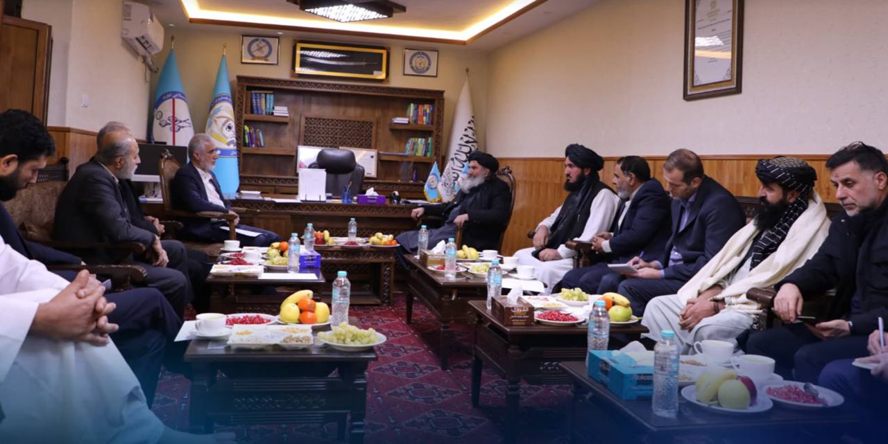 ایران آمادگی کامل خود را برای همکاری با افغانستان در درمان معتادان اعلام کرد