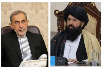 Request for the Development of Medical, Technical and Artificial Intelligence Majors in Kabul