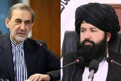Nadim calls for expanding scientific relations with Iran
