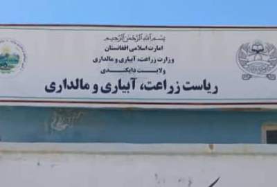 توزیع بیش از ۲۷۹ تن تخم بذری اصلاح‌شده و کود کیمیاوی به دهقانان دایکندی