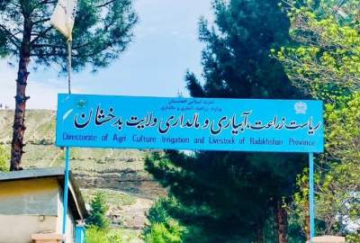 جریان کار طرح، دیزاین و تطبیق پنج قطعه باغ مثمر در حومه شهر فیض‌آباد بدخشان