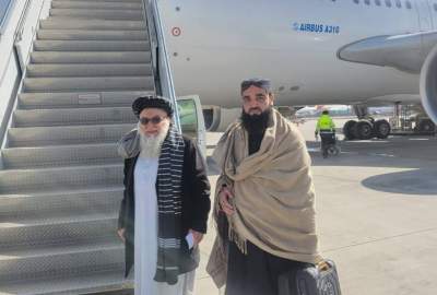 آغاز کارزار ملی نهال‌شانی با سفر رییس اداره ملی حفاظت محیط زیست به هرات