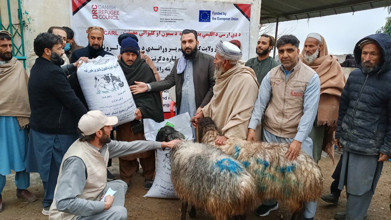 توزیع ۷۰۸ راس گوسفند و مواد خوراکه حیوانی برای ۳۵۴ خانواده نیازمند در ننگرهار؛ ایجاد فرصت شغلی برای ۲۰۰ تن در بازسازی کانال‌های زراعتی