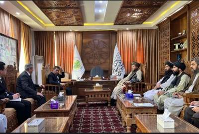 وزیر زراعت: پروژه تاپی به نفع افغانستان است؛ تسریع استملاک زمین‌ها با نرخ عادلانه