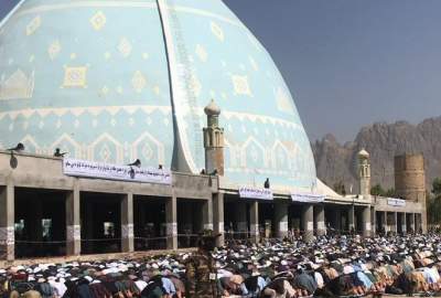 اگر افغان‌ها در بمباران‌ها از بین می‌رفتند، در زمان جنگ با روسیه و امریکا از بین رفته بودند