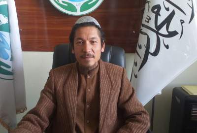 غرس ۲.۶ میلیون نهال مثمر و غیر مثمر در بامیان با هدف مقابله با تغییرات اقلیمی و تقویت اقتصاد محلی