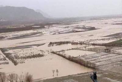 سیلاب‌ها و طوفان‌های اخیر در فراه؛ یک کشته و صدها خانه تخریب شد