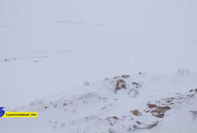 انځورونه/ په بامیان کې د پسرلي بې ساري واورې سړکونه بند کړي دي  