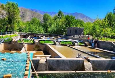 افتتاح فارم پرورش ماهی قزل‌آلا در ولسوالی کشم بدخشان با ظرفیت تولید ۱۰ تُن ماهی در سال