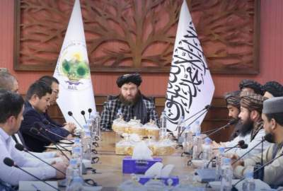 Expansion of agricultural cooperation between Kabul and Tashkent; From laboratory to horticultural development