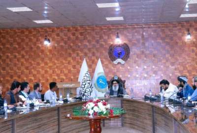 Ministry of Health Meeting with International Institutions; Focus on Import and Production of Medicines