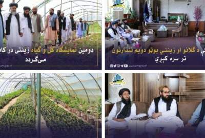 په کابل کې د ګلونو او بوټو دوهم نندارتون ډېر ژر جوړېږي