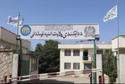 قاطعیت در محو کشتزارهای ممنوعه؛ بیش از ۵ جریب زمین کوکنار در دایکندی تخریب شد