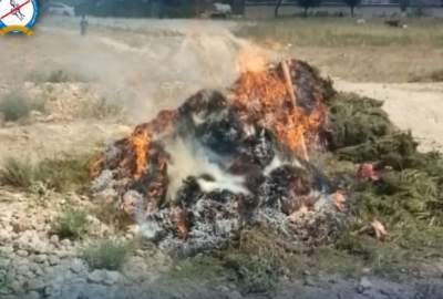 افزایش عملیات ضد مواد مخدر؛ کشف ۹۰۰ کیلو «اومان» در قندهار و ۱۵ کیلو شیشه در ننگرهار