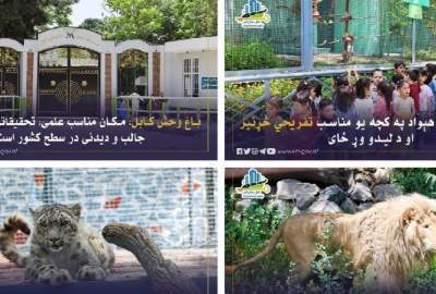 باغ‌وحش کابل؛ مکان مناسب تحقیقاتی و تفریحی با جاذبه‌های دیدنی در کشور