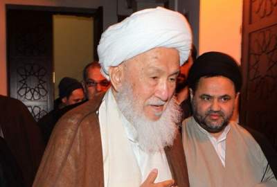 Shia and Sunni are complementary, not rivals