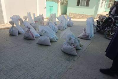 ایجاد ۳۵ جریب قطعات نمایشی کشت جواری و لوبیا در ولایت لوگر