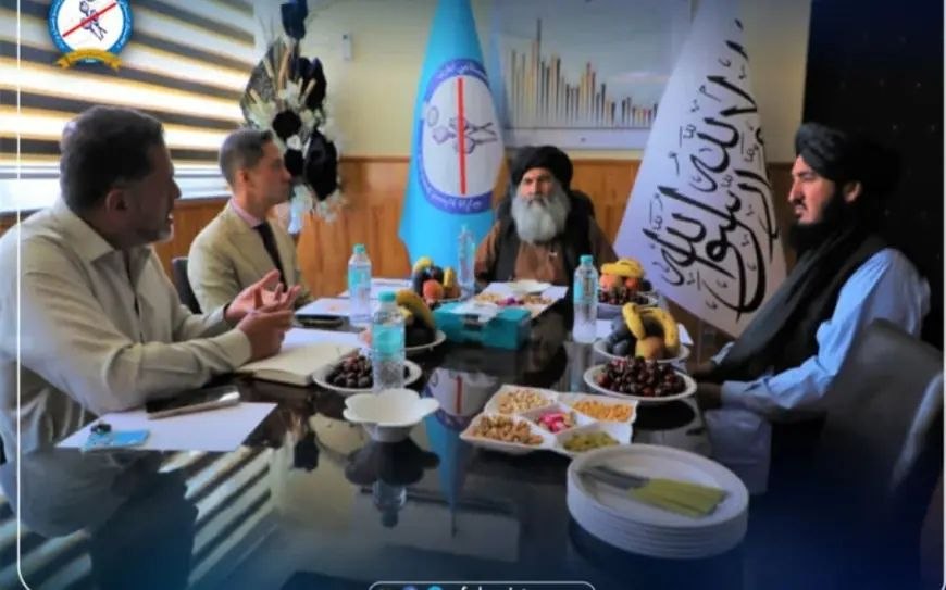 تأکید افغانستان و سازمان ملل بر انعکاس واقع‌بینانه دستاوردهای مبارزه با مواد مخدر