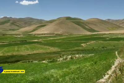 گزارش ویدیویی/ بهار ساحات منطقه پسرویه ولسوالی یکاولنگ نمبر ۱  <img src="https://cdn.avapress.net/images/video_icon.png" width="16" height="16" border="0" align="top">