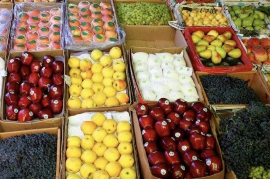 صادرات ۱۱۷ تُن میوه تازه هرات به کشورهای عربی در سه ماه نخست سال صادرات ۱۱۷ تُن میوه تازه هرات به کشورهای عربی در سه ماه نخست سال