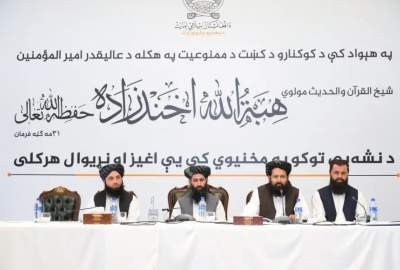 معین وزارت خارجه: مبارزه با مواد مخدر نیازمند همکاری همه‌جانبه جامعه است