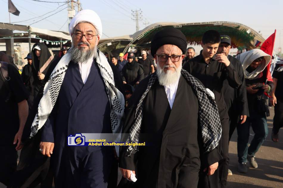 گزارش تصویری/ حماسه اربعین در مسیر نجف تا کربلا  