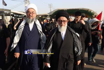 گزارش تصویری/ حماسه اربعین در مسیر نجف تا کربلا
