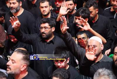 حسینی اربعین؛ د رڼا سفر، د تاریخ یوه اړیکه