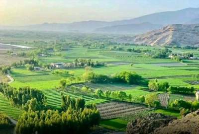 په ننګرهار کې د ۳۶۳ جریبه دولتي ځمکې ملکیت د قضايي بیاکتنې وروسته تایید شو