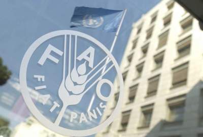 FAO: War and climate change have increased global food prices